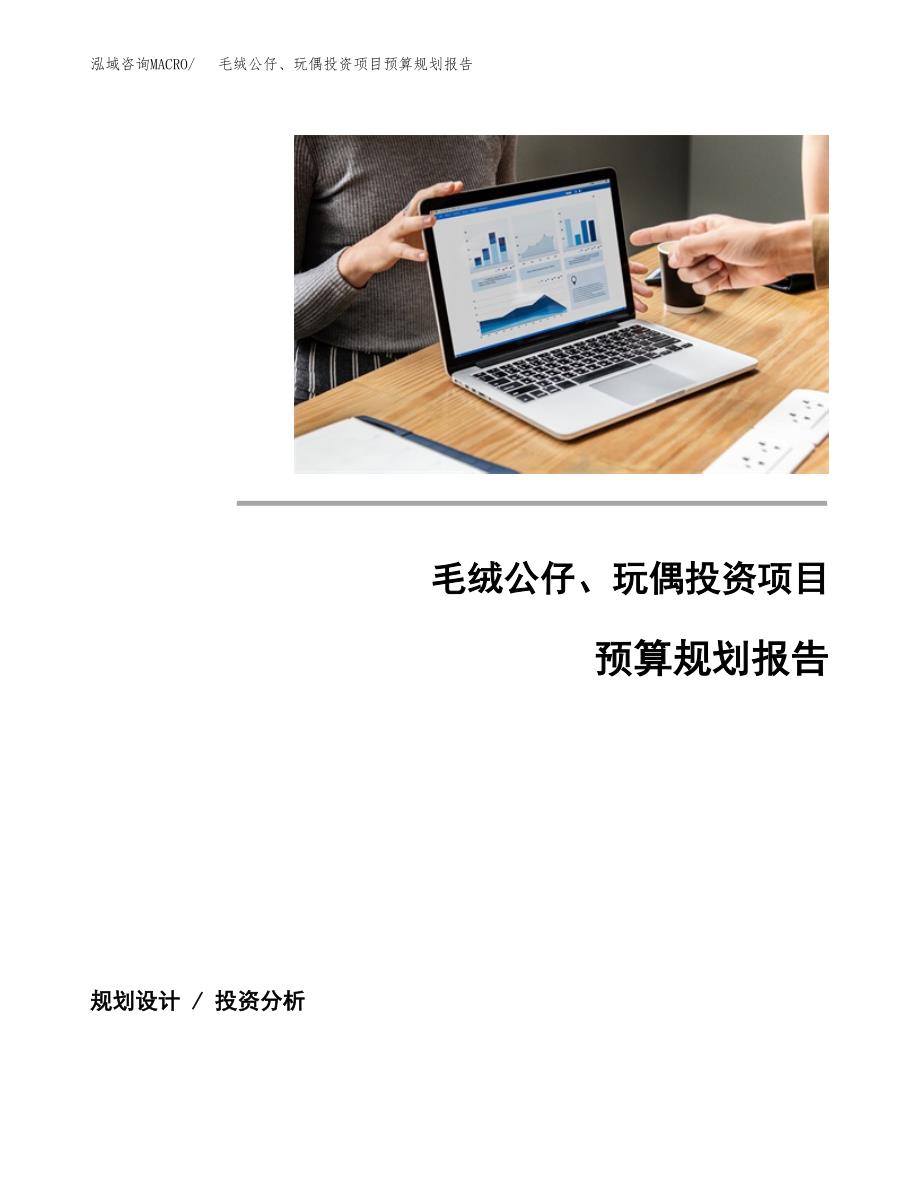 毛绒公仔、玩偶投资项目预算规划报告_第1页