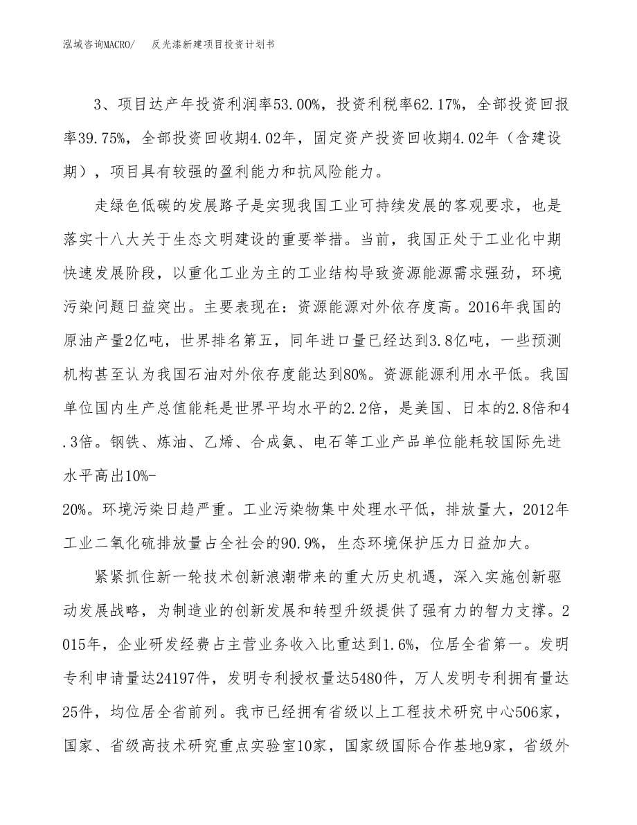 反光漆新建项目投资计划书_第5页