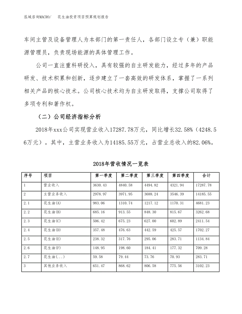 花生油投资项目预算规划报告_第3页