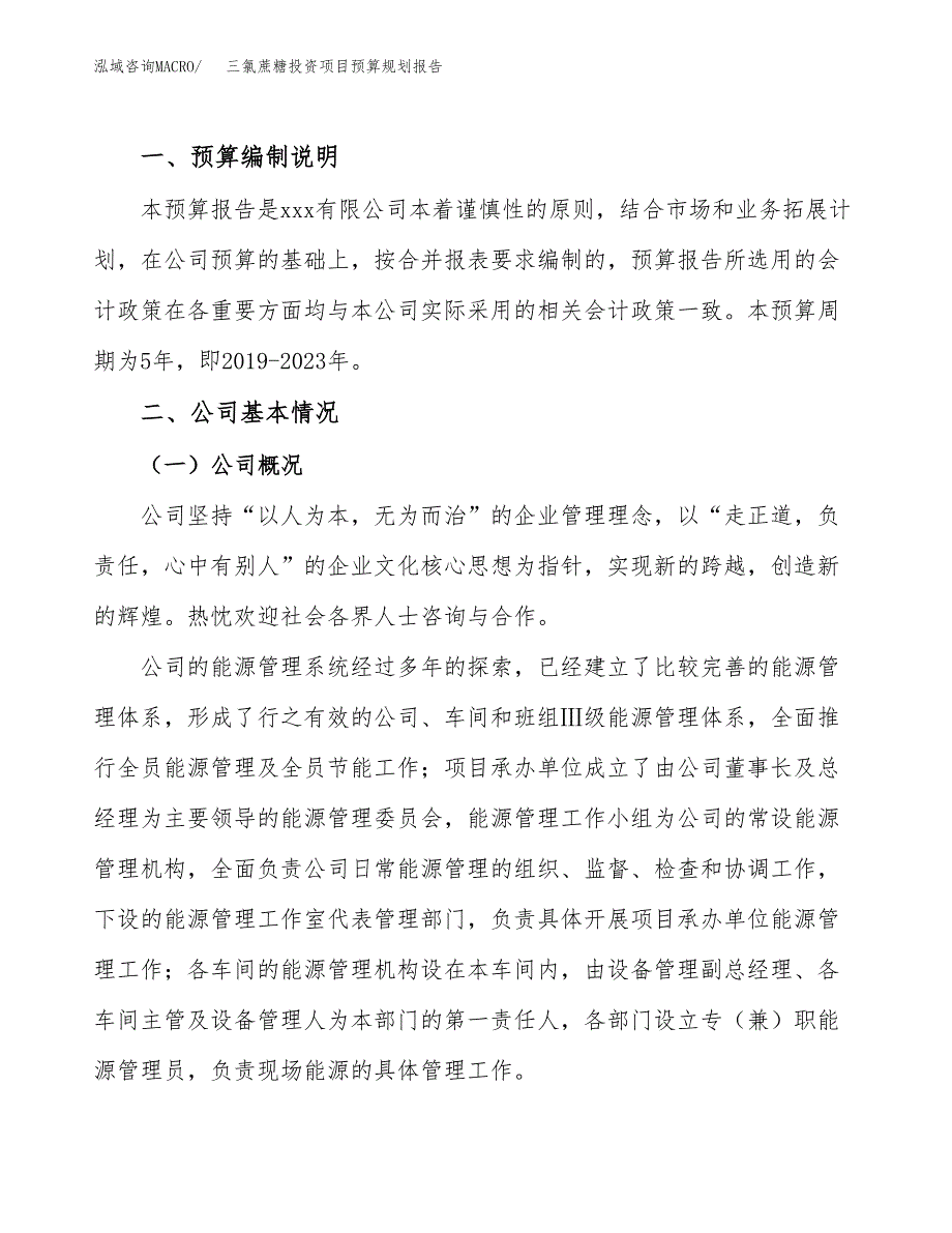 三氯蔗糖投资项目预算规划报告_第2页