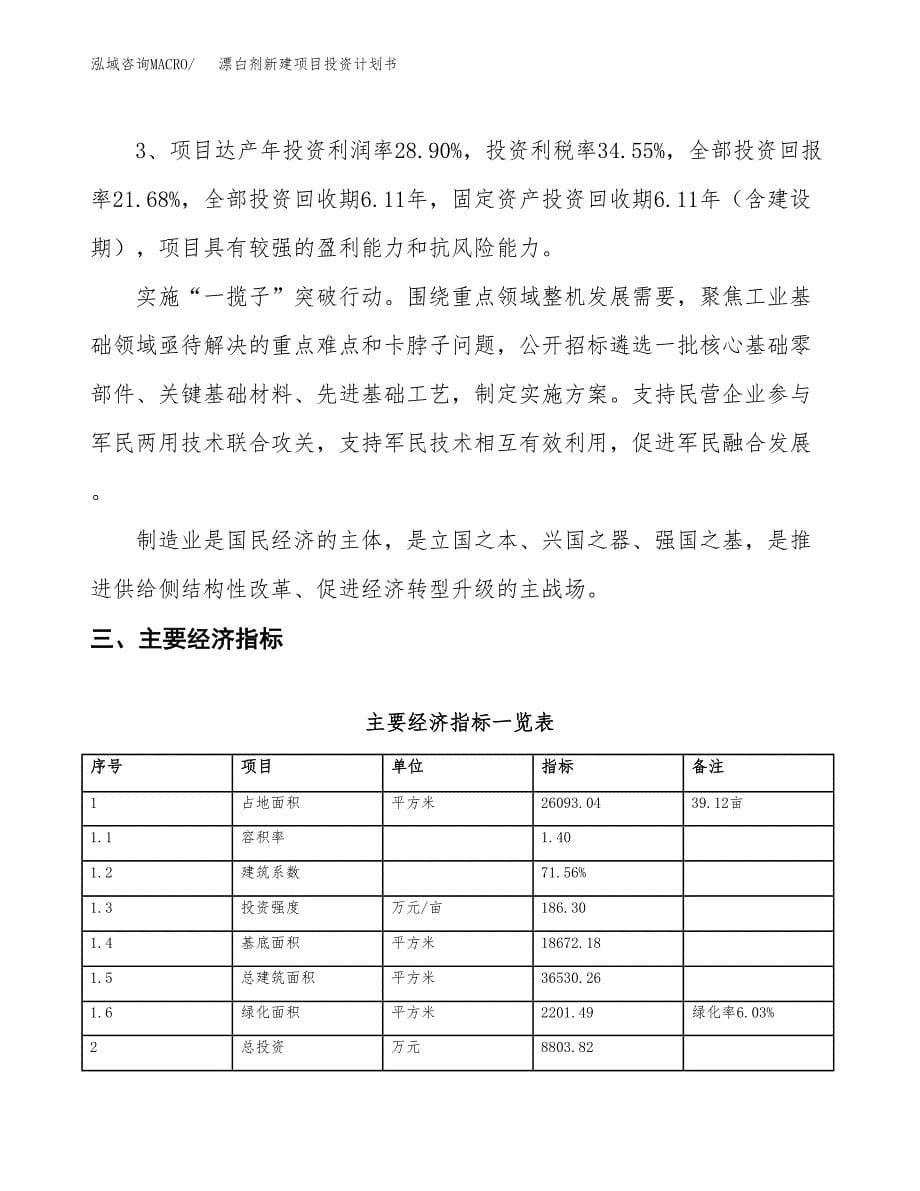 漂白剂新建项目投资计划书_第5页