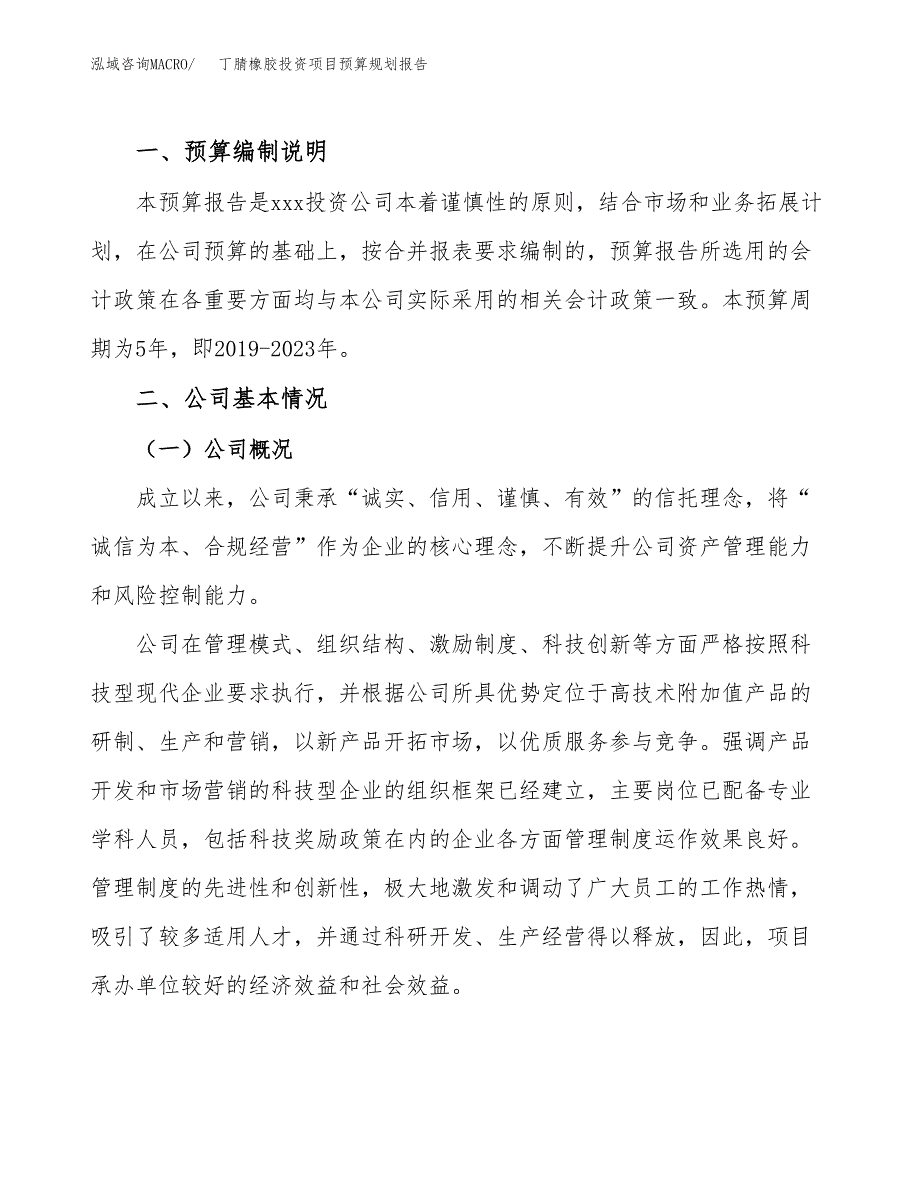 丁腈橡胶投资项目预算规划报告_第2页