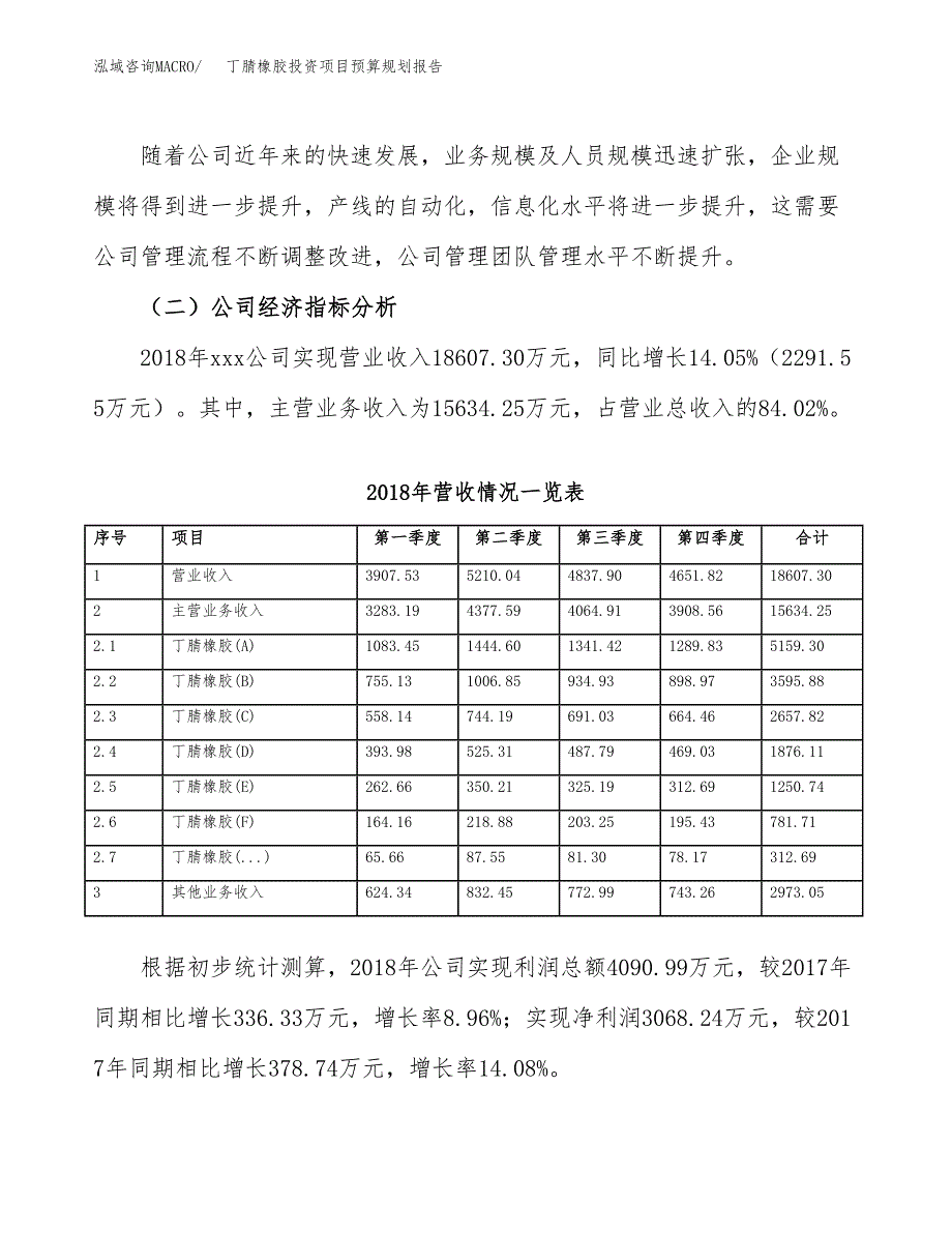 丁腈橡胶投资项目预算规划报告_第3页