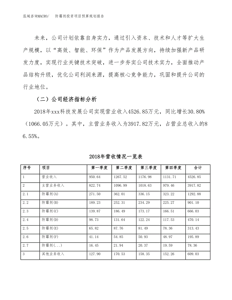 防霉剂投资项目预算规划报告_第3页