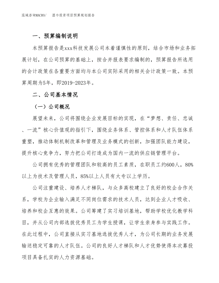 湿巾投资项目预算规划报告_第2页