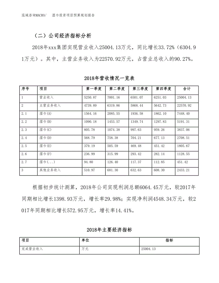 湿巾投资项目预算规划报告_第3页