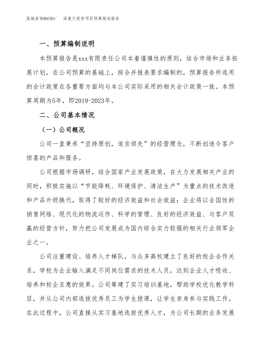 深度尺投资项目预算规划报告_第2页