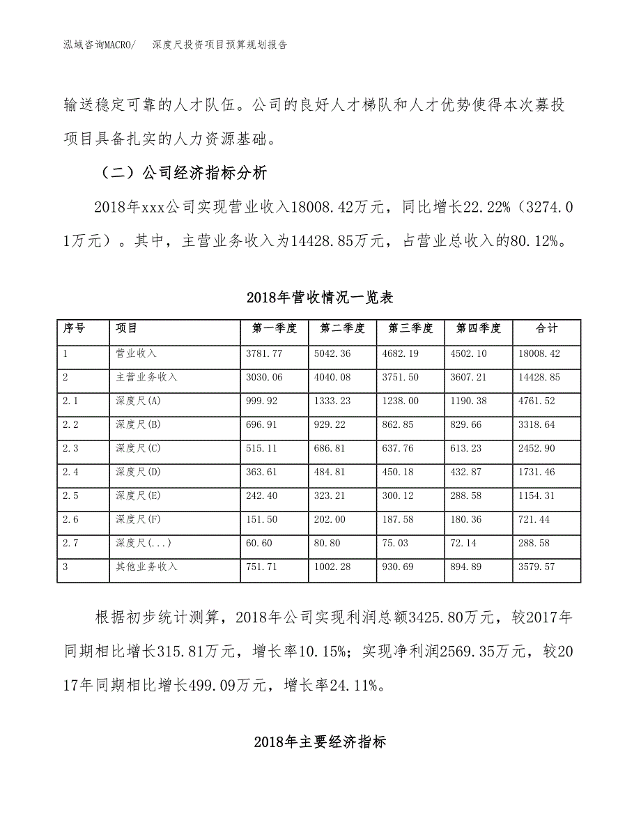 深度尺投资项目预算规划报告_第3页