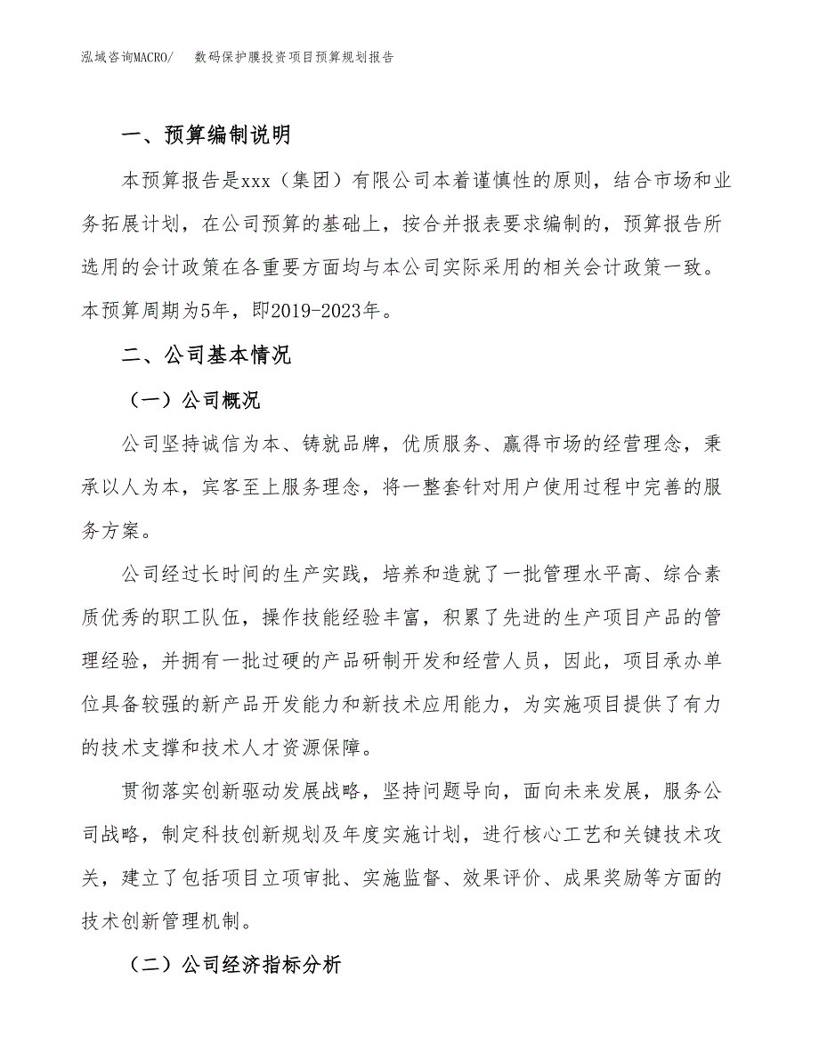 数码保护膜投资项目预算规划报告_第2页