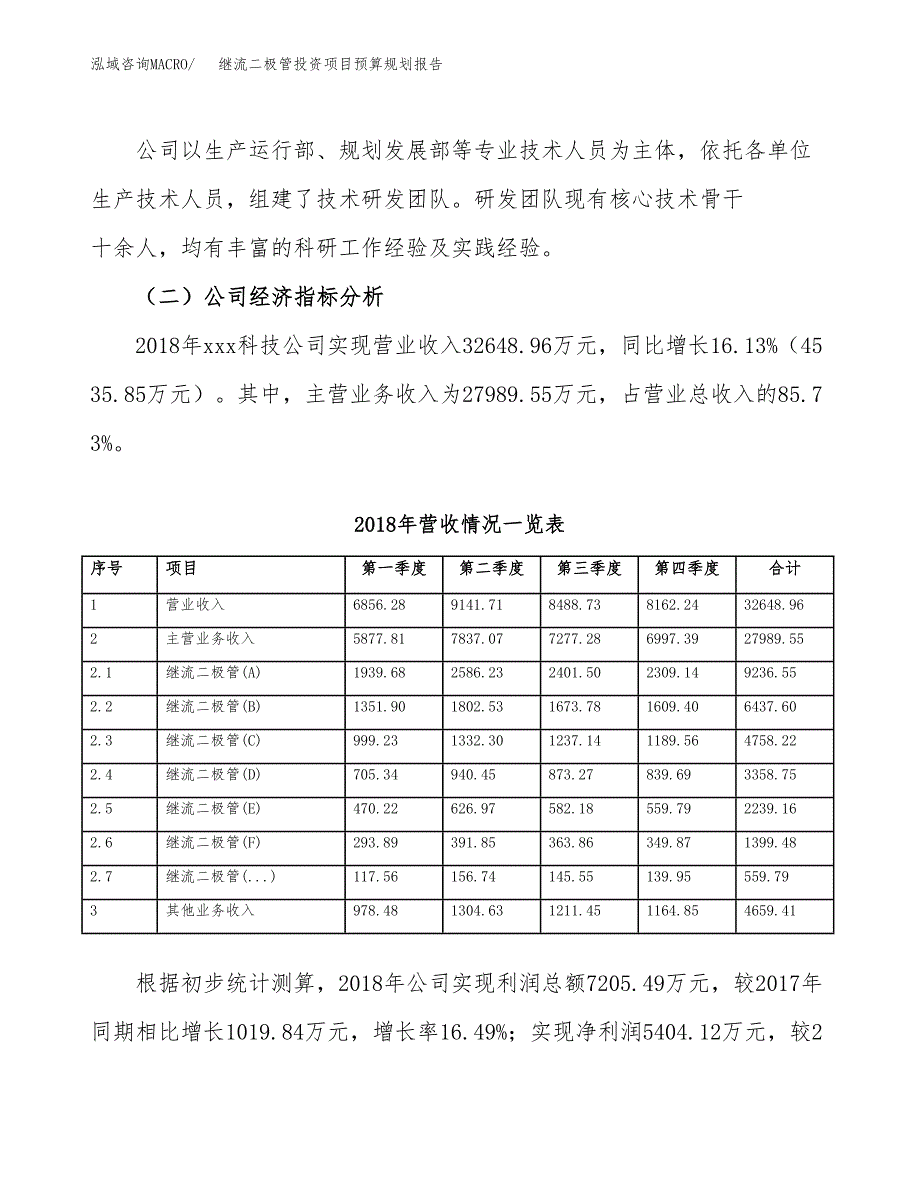 继流二极管投资项目预算规划报告_第3页