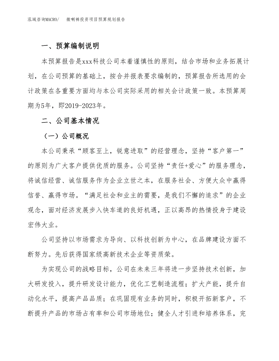 微喇裤投资项目预算规划报告_第2页