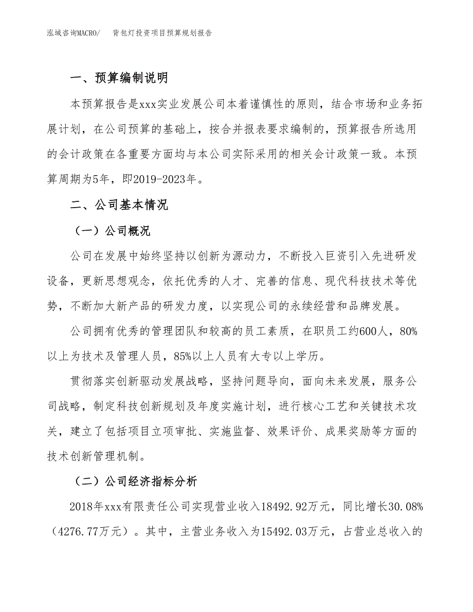 背包灯投资项目预算规划报告_第2页