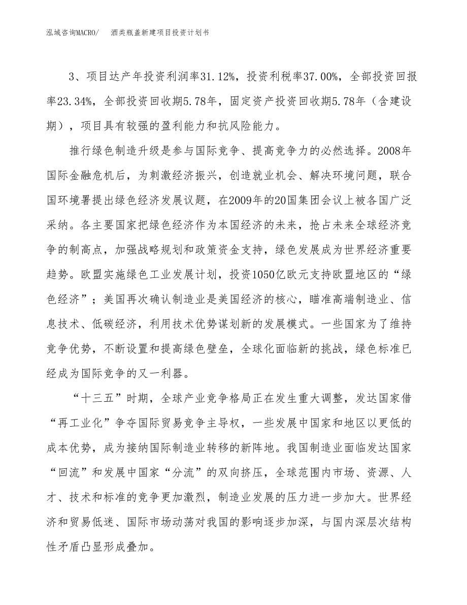 酒类瓶盖新建项目投资计划书_第5页