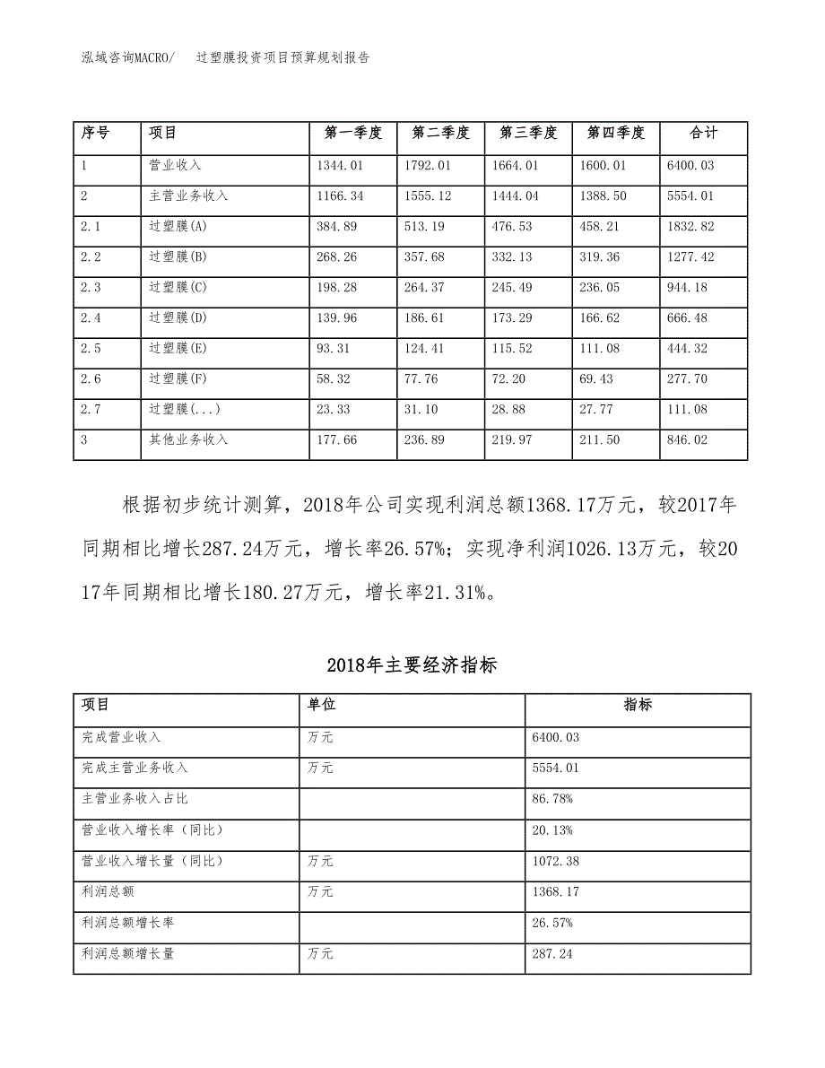 过塑膜投资项目预算规划报告_第4页