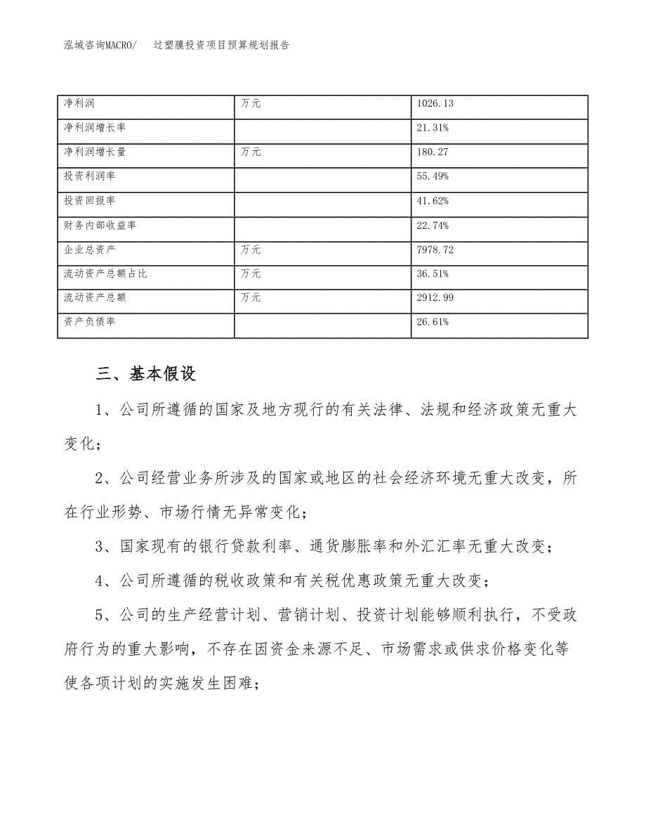 过塑膜投资项目预算规划报告_第5页