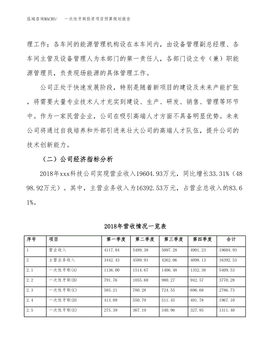 一次性牙刷投资项目预算规划报告_第3页