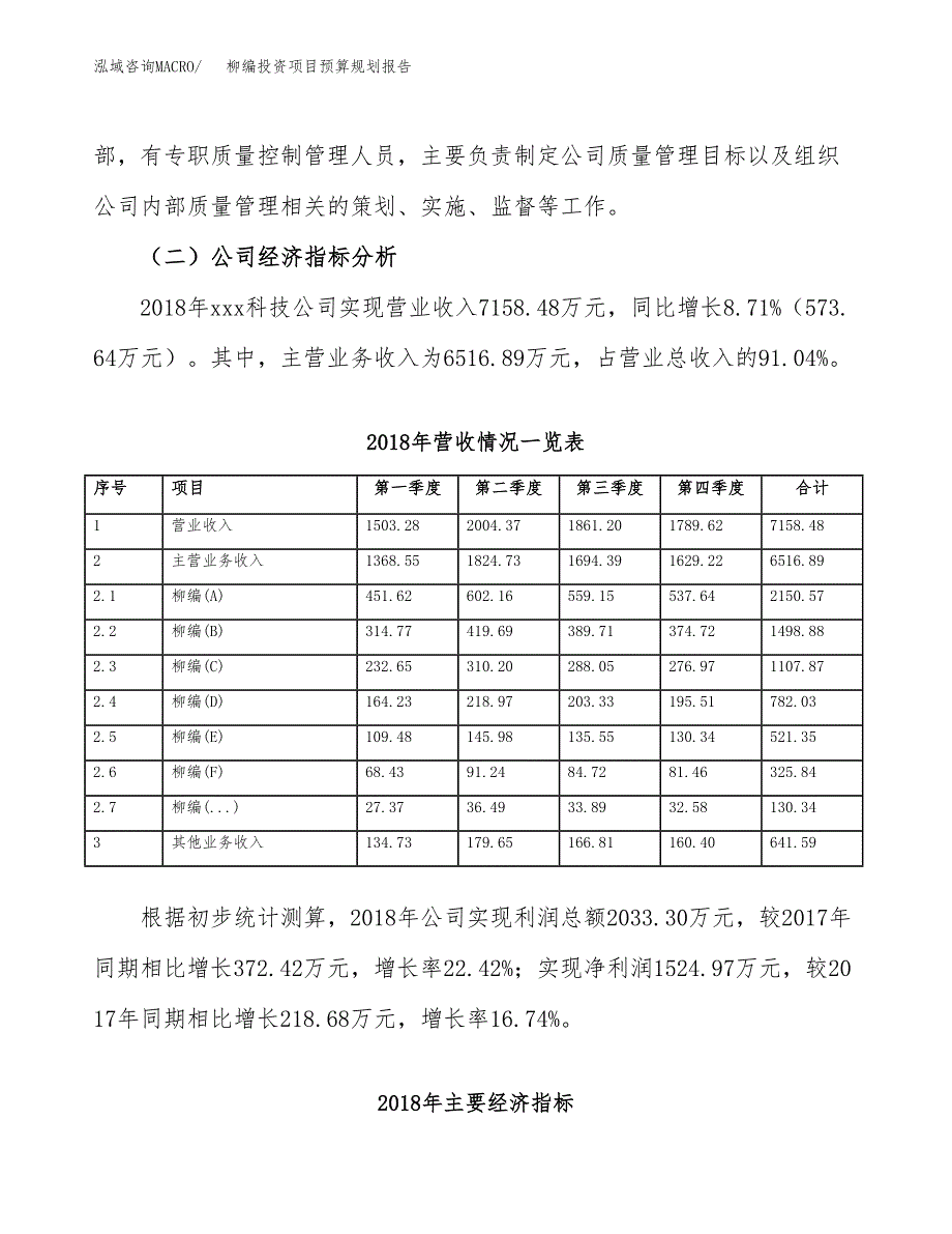 柳编投资项目预算规划报告_第3页