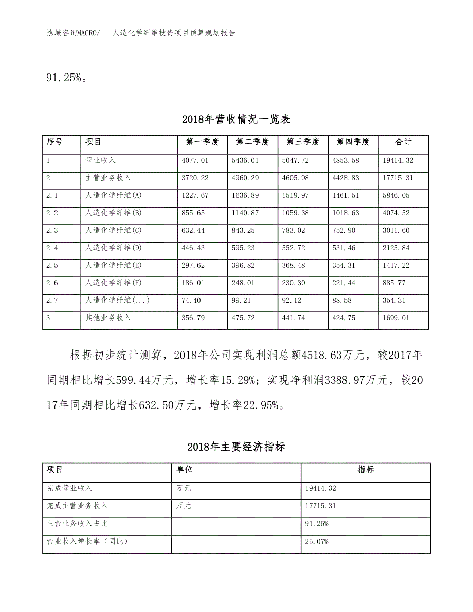 人造化学纤维投资项目预算规划报告_第3页