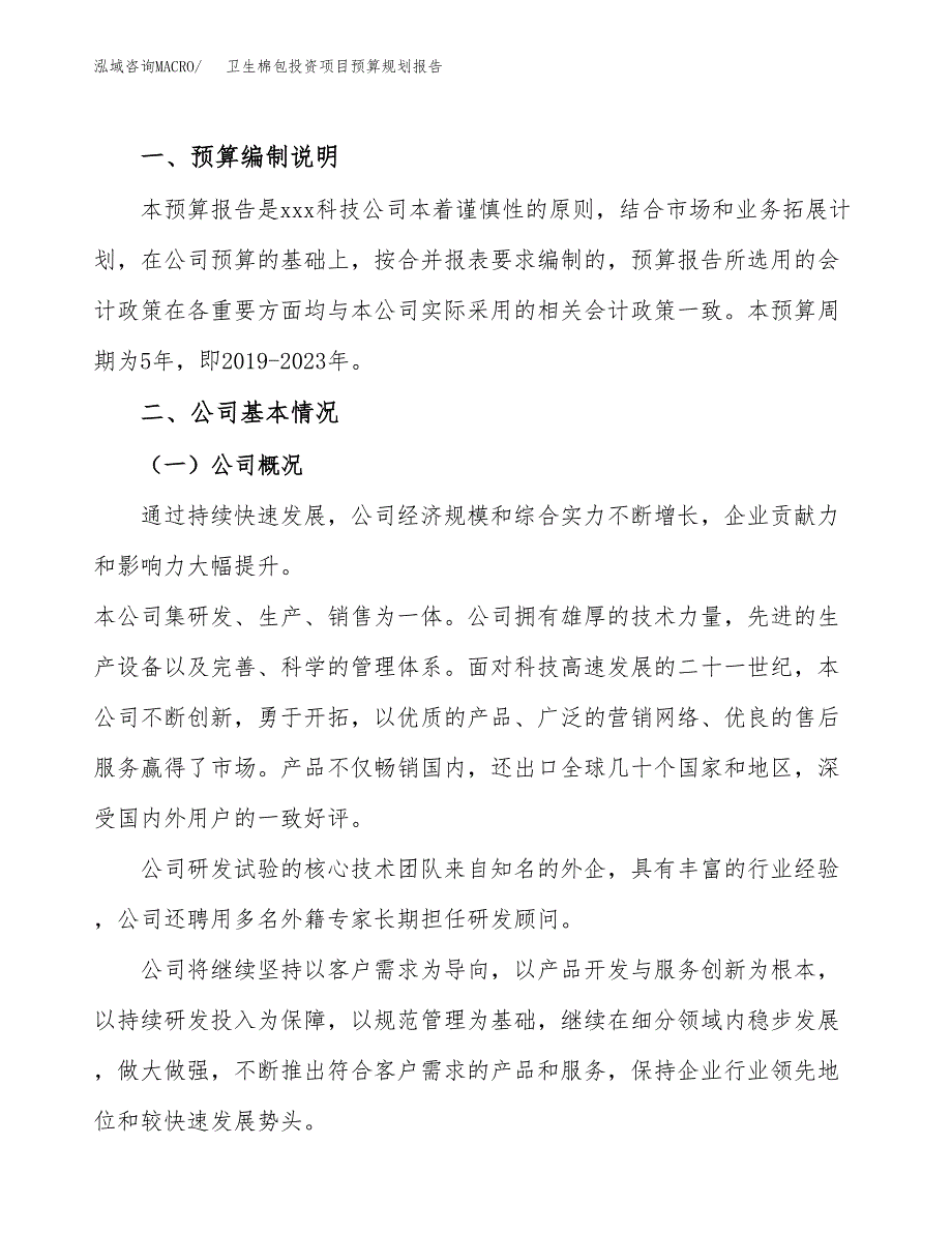 卫生棉包投资项目预算规划报告_第2页