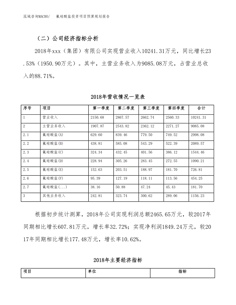 氟硅酸盐投资项目预算规划报告_第3页