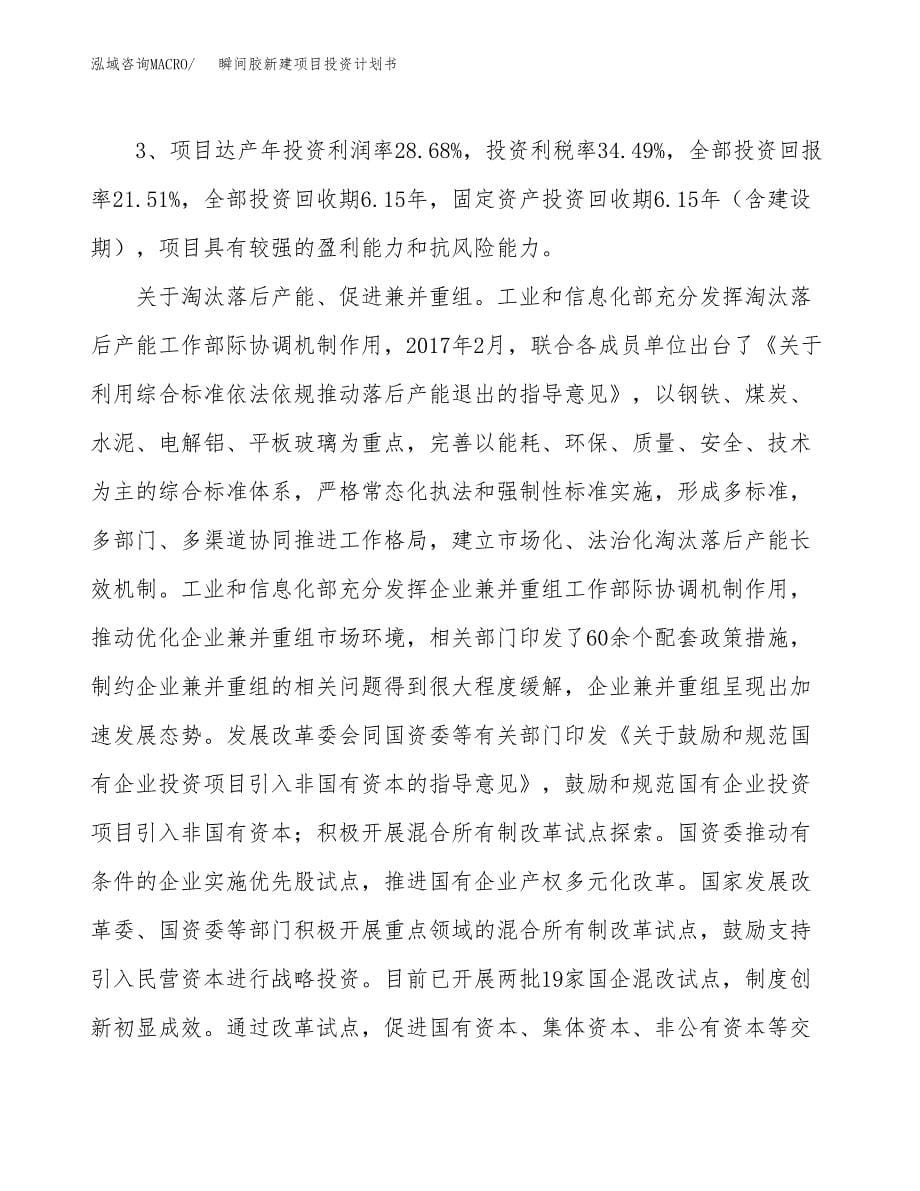 瞬间胶新建项目投资计划书_第5页