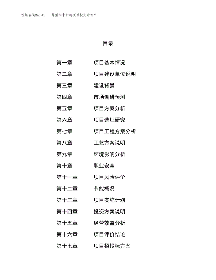 薄型钢带新建项目投资计划书_第1页