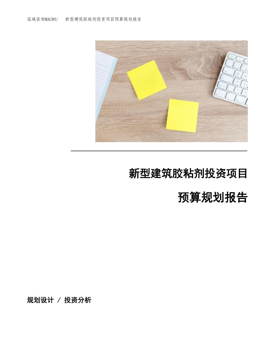 新型建筑胶粘剂投资项目预算规划报告_第1页