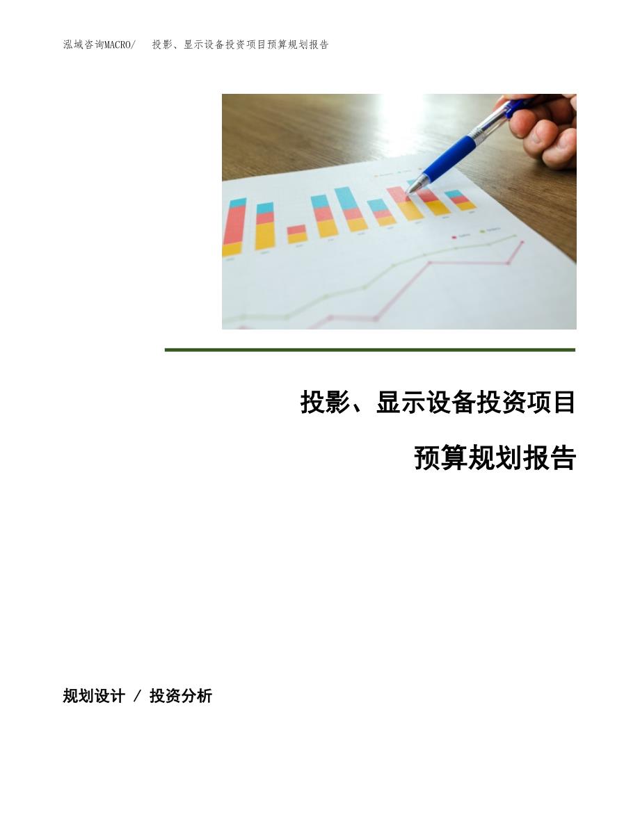 投影、显示设备投资项目预算规划报告_第1页