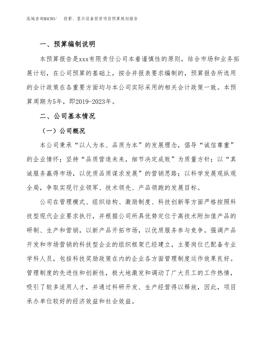 投影、显示设备投资项目预算规划报告_第2页