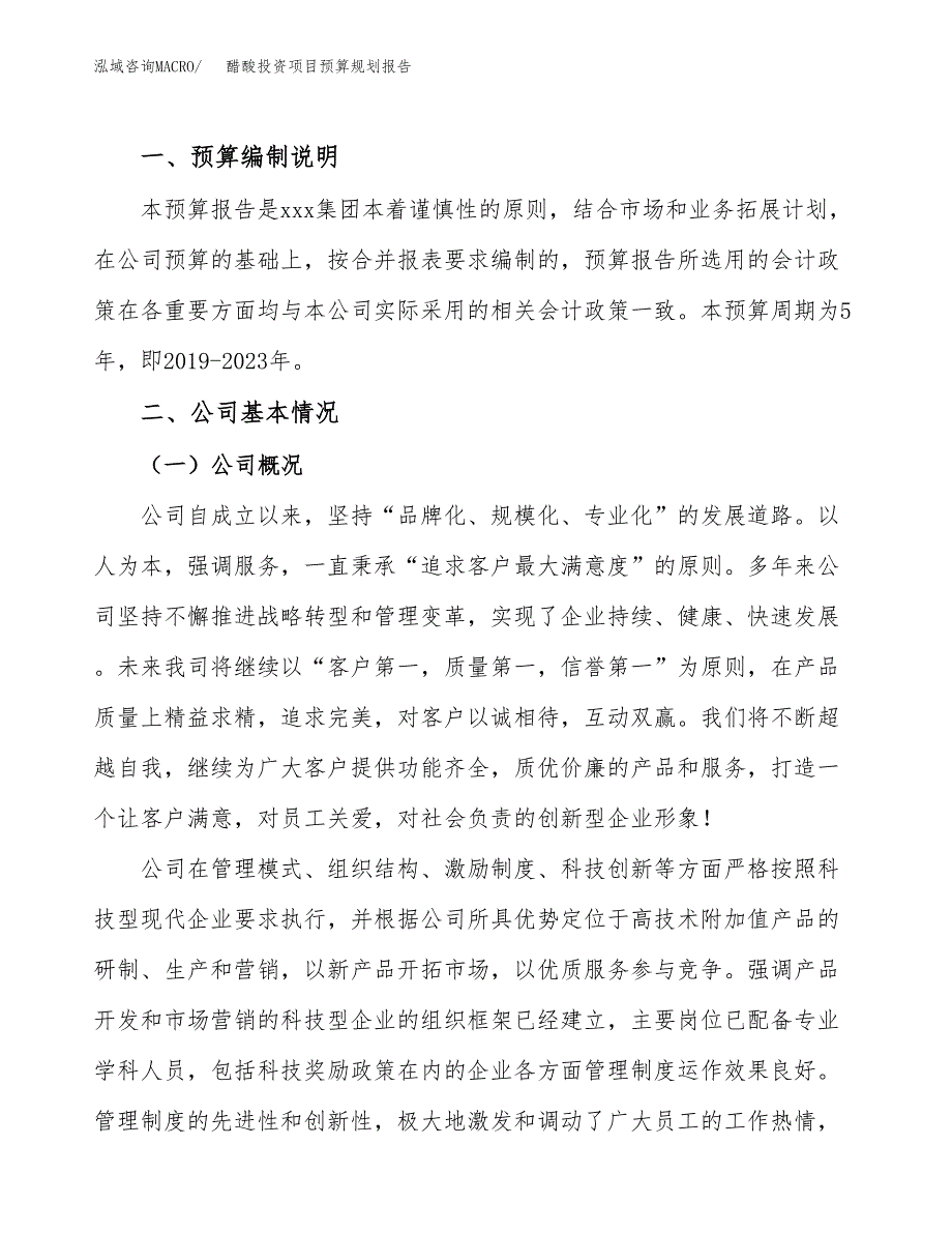 醋酸投资项目预算规划报告_第2页