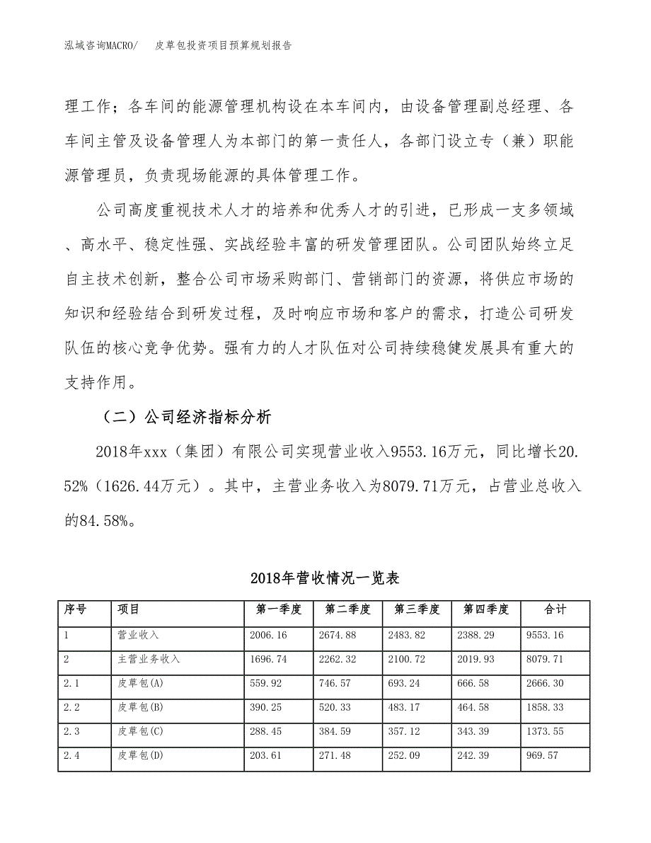 皮草包投资项目预算规划报告_第3页