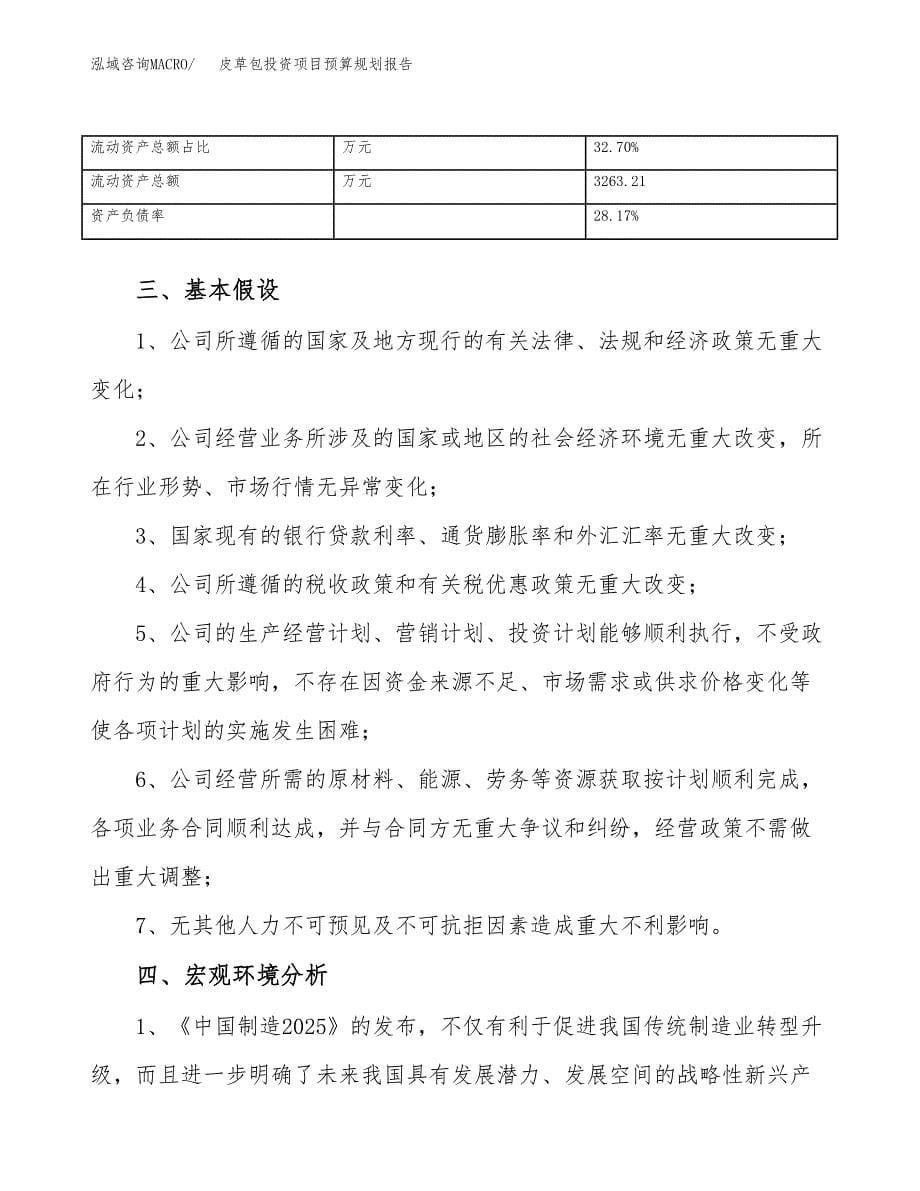 皮草包投资项目预算规划报告_第5页