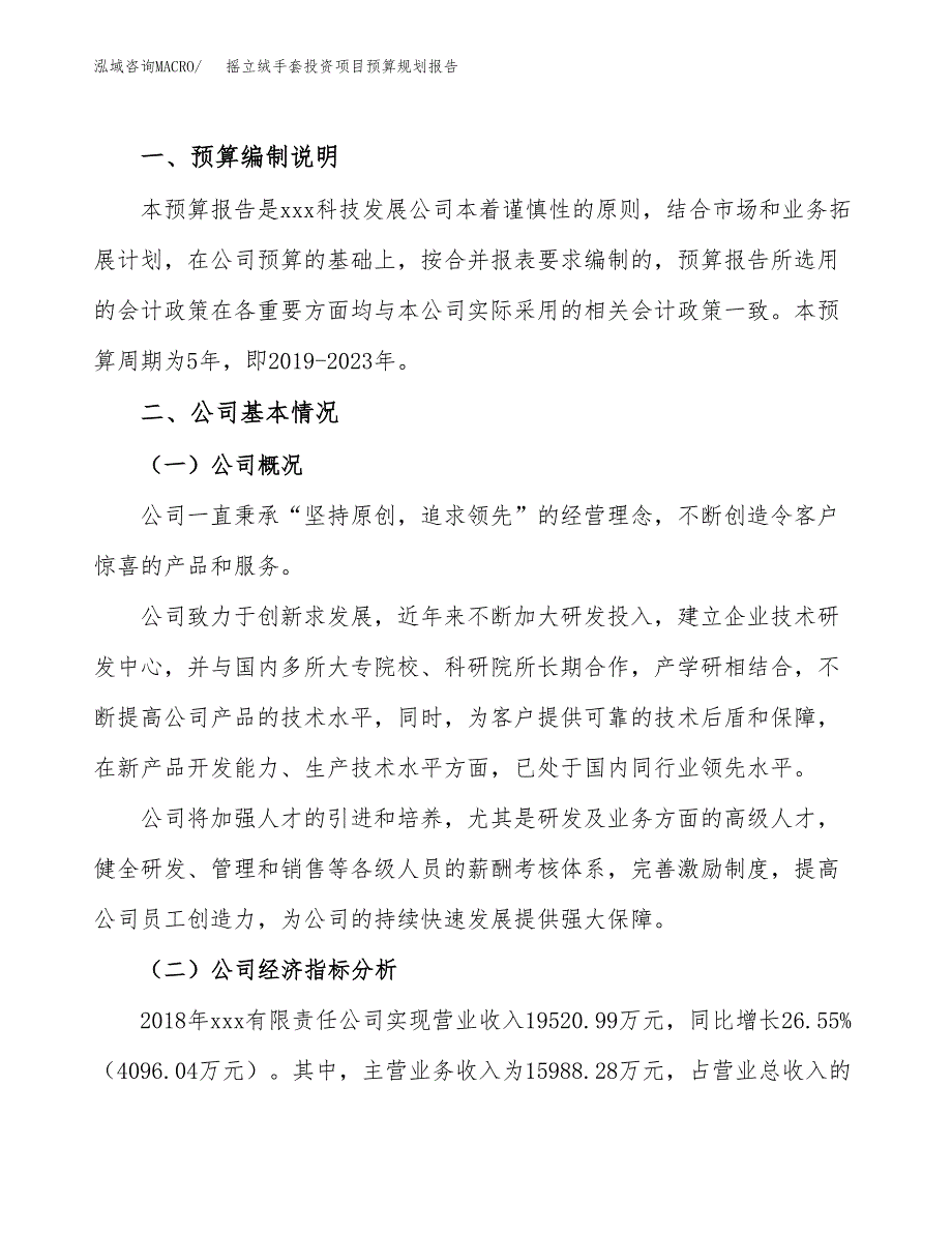 摇立绒手套投资项目预算规划报告_第2页