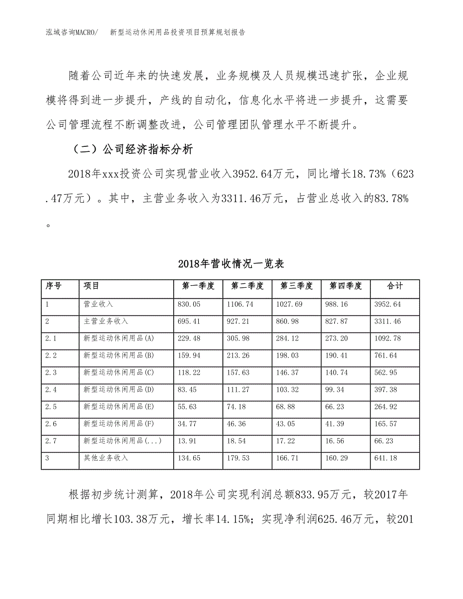 新型运动休闲用品投资项目预算规划报告_第3页