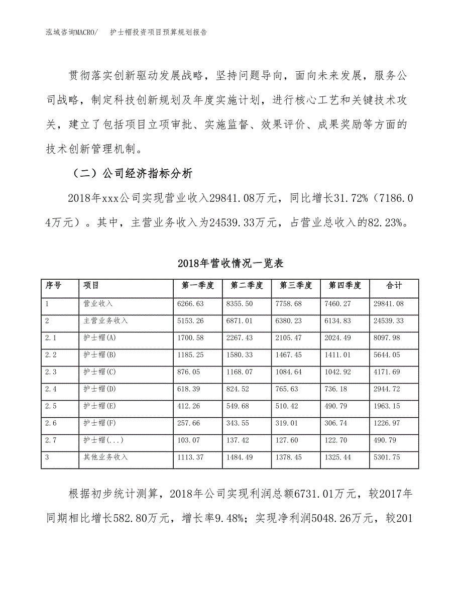 护士帽投资项目预算规划报告_第3页