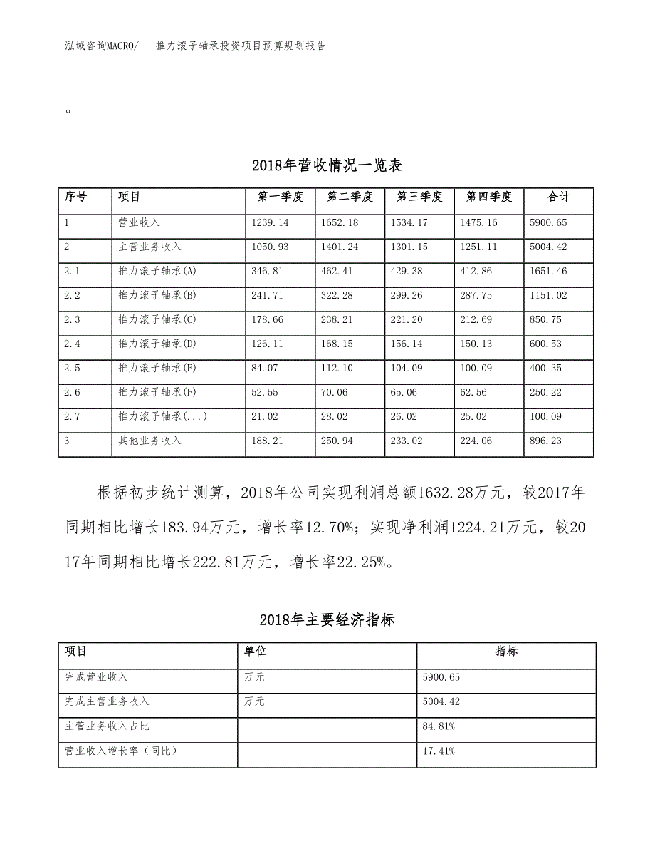 推力滚子轴承投资项目预算规划报告_第3页