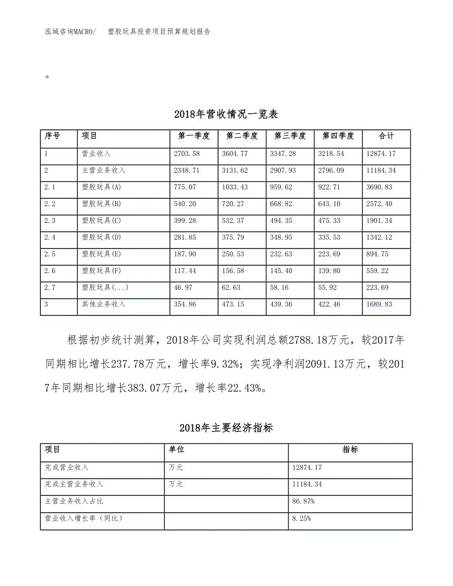 塑胶玩具投资项目预算规划报告_第3页