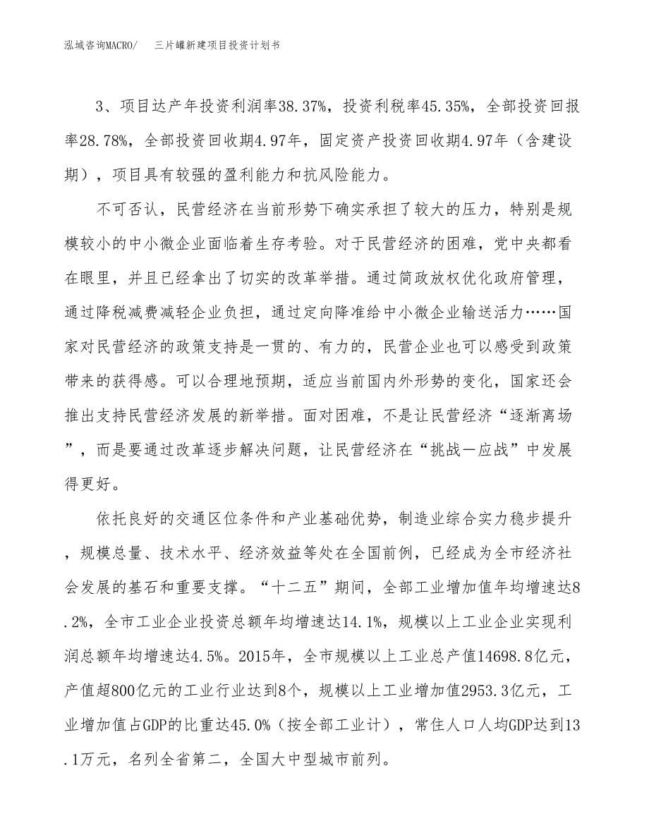 三片罐新建项目投资计划书_第5页