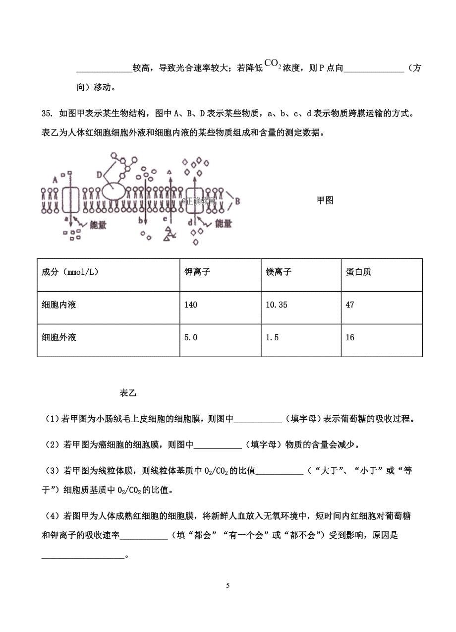 山东省2019届高三上学期10月月考生物试卷含答案_第5页