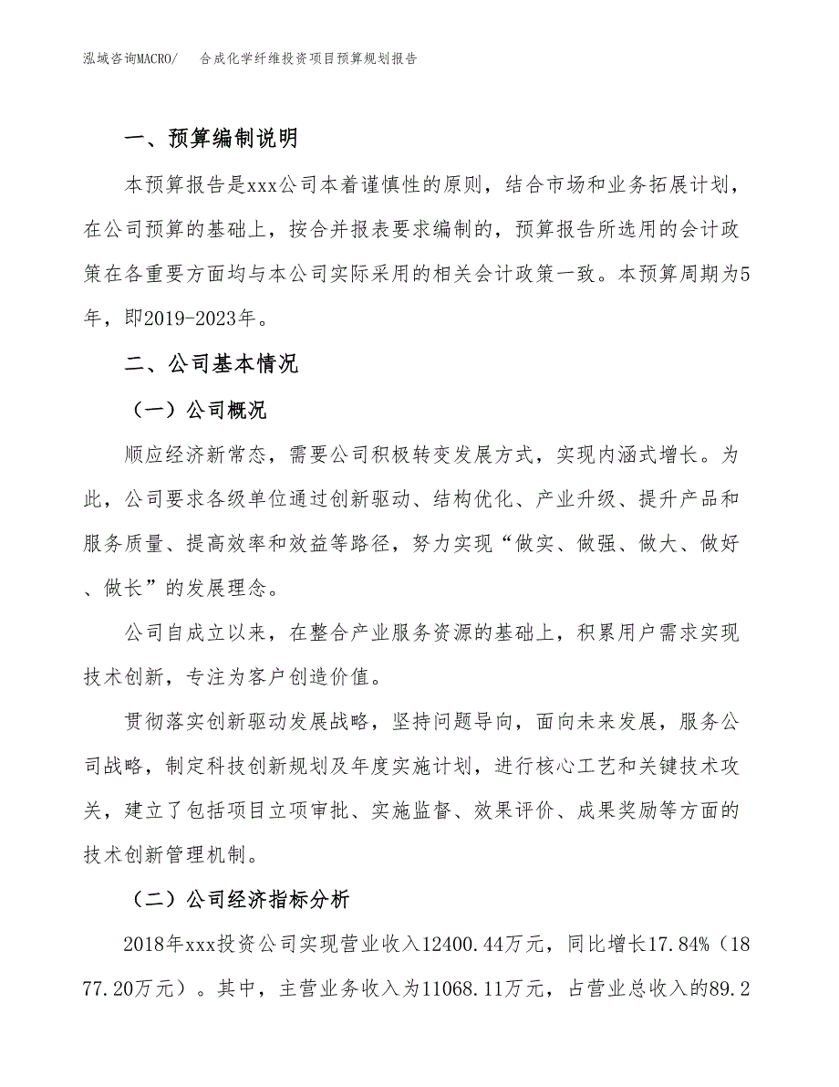 合成化学纤维投资项目预算规划报告_第2页