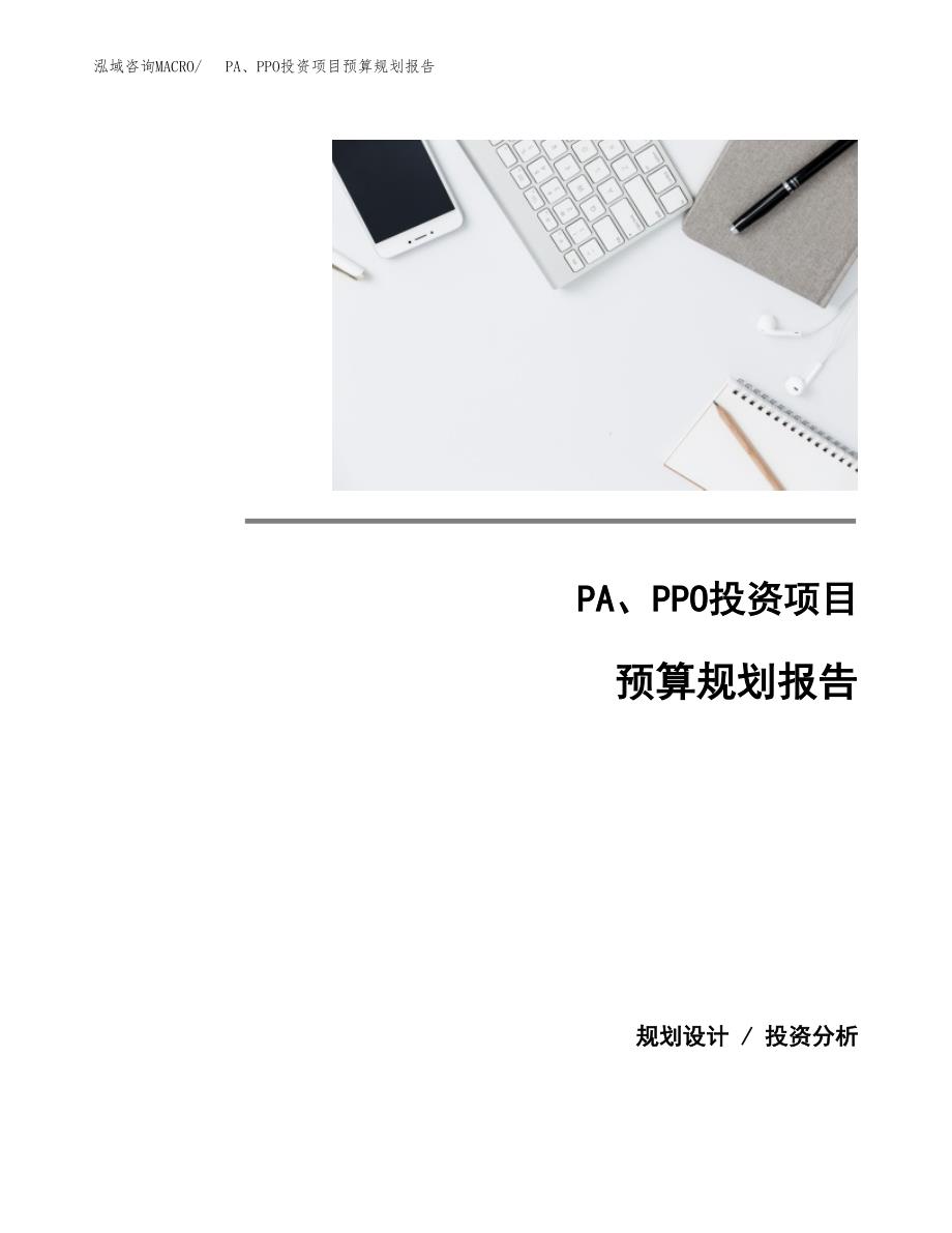 PA、PPO投资项目预算规划报告_第1页