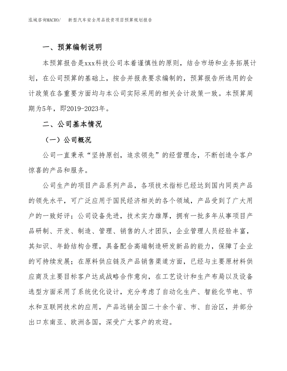 新型汽车安全用品投资项目预算规划报告_第2页