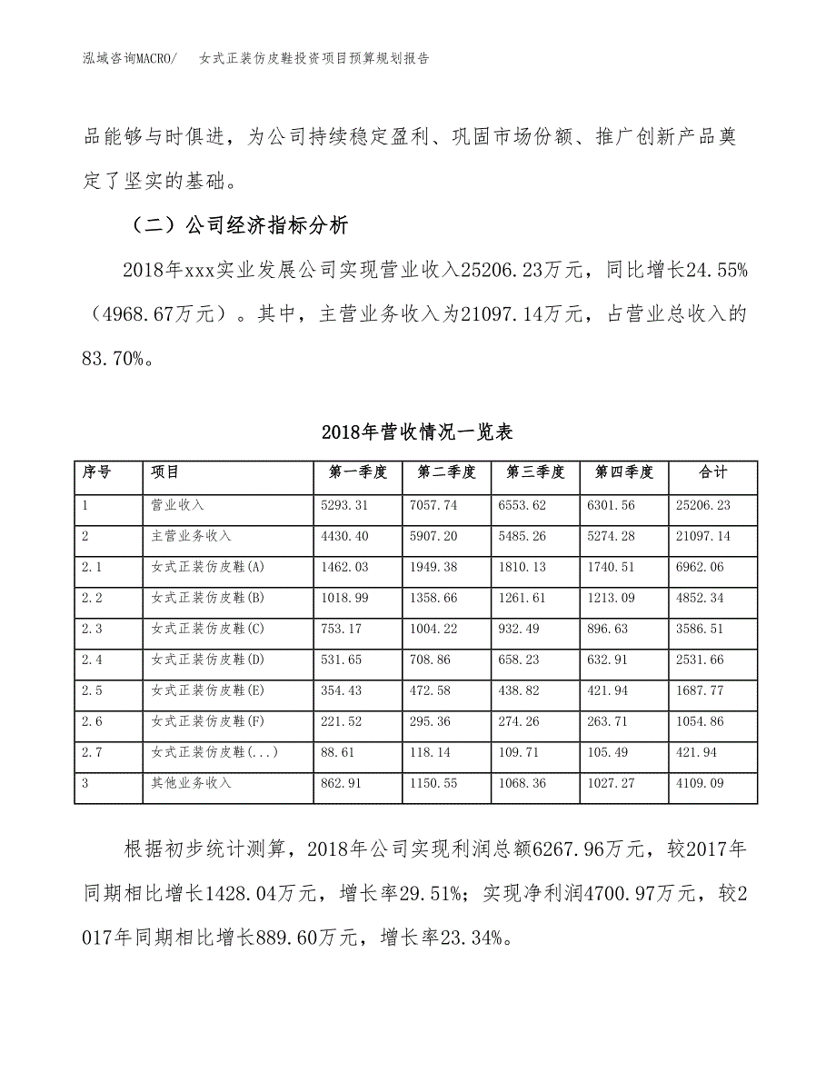 女式正装仿皮鞋投资项目预算规划报告_第3页