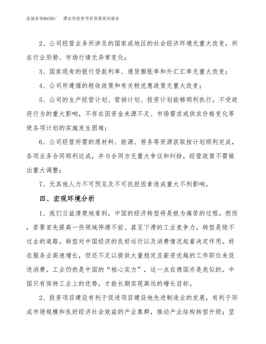 漂白剂投资项目预算规划报告_第5页