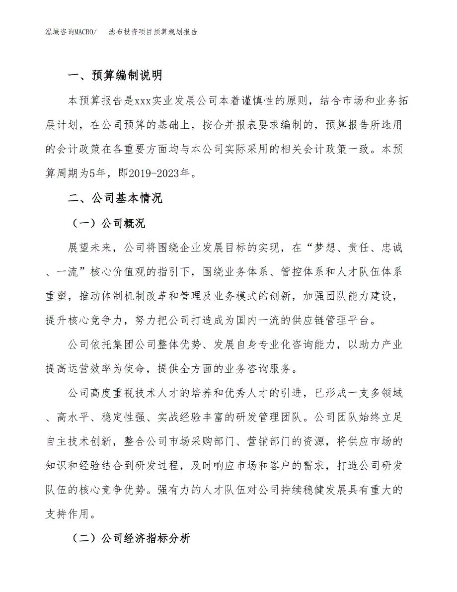 滤布投资项目预算规划报告_第2页