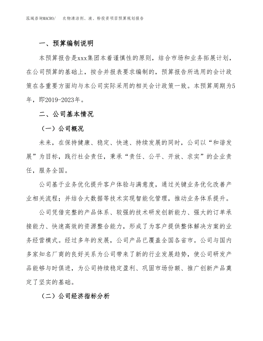 衣物清洁剂、液、粉投资项目预算规划报告_第2页