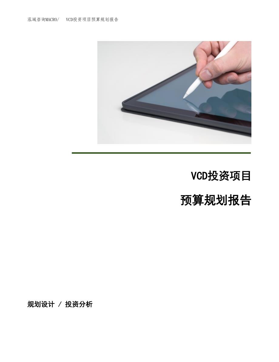 VCD投资项目预算规划报告_第1页