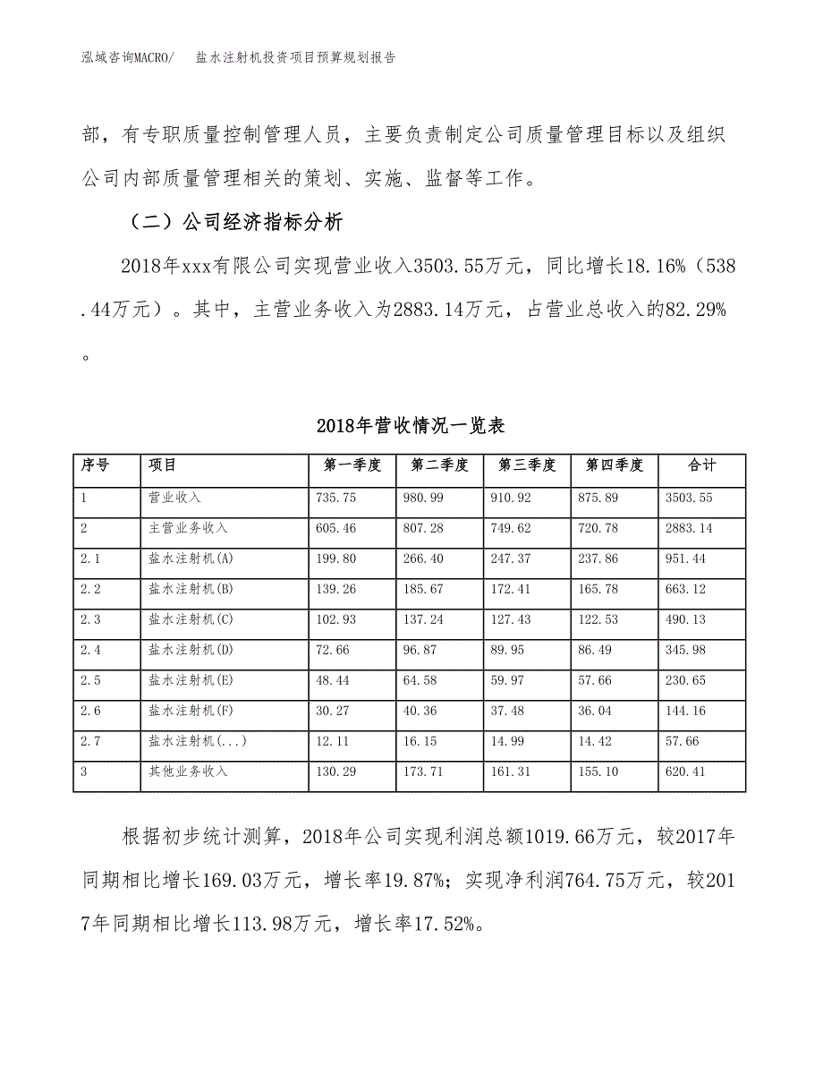 盐水注射机投资项目预算规划报告_第3页