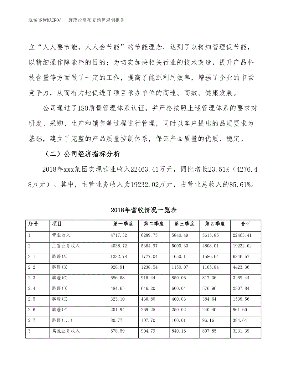 脚蹬投资项目预算规划报告_第3页