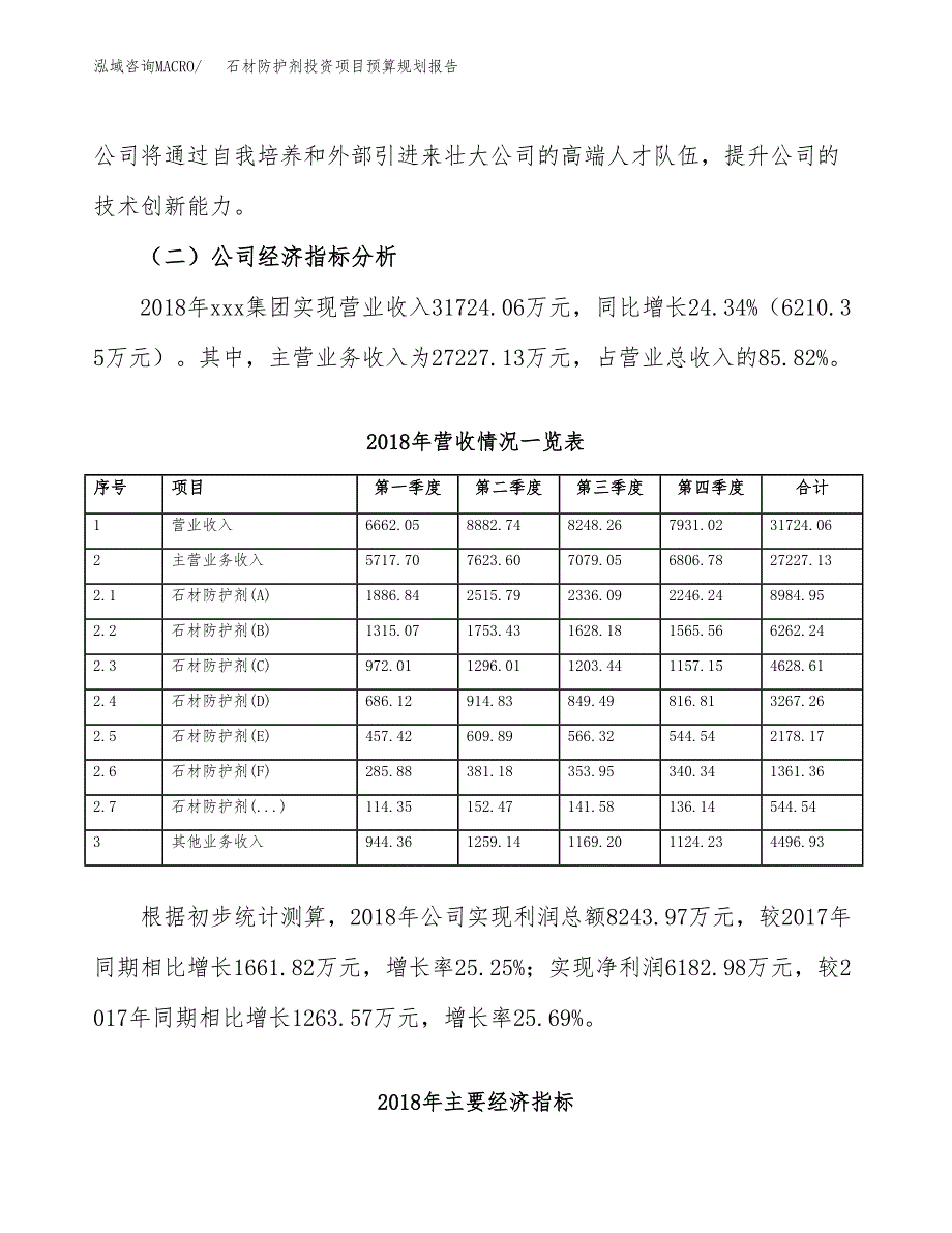 石材防护剂投资项目预算规划报告_第3页